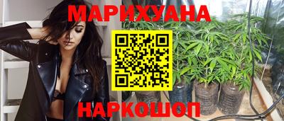 гидропоника Бийск