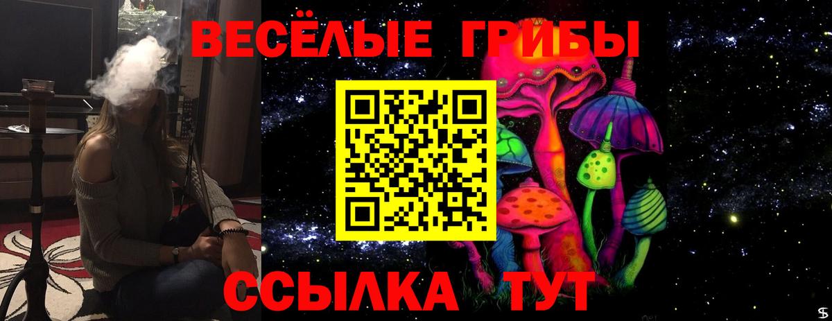 Псилоцибиновые грибы Magic Shrooms Камышин